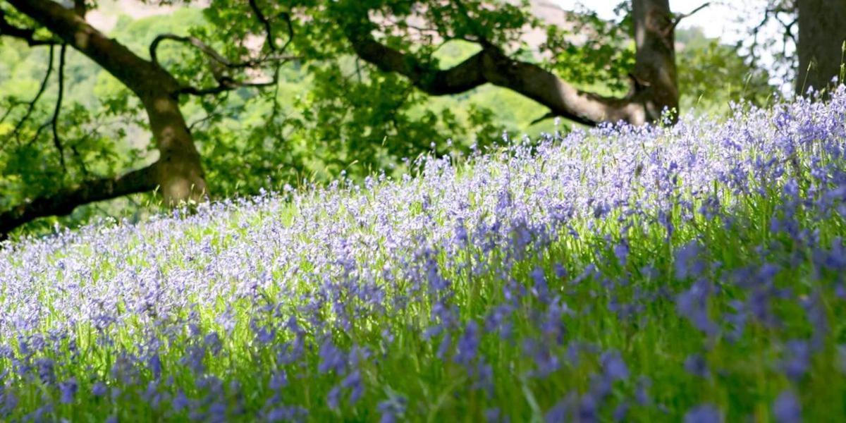 Brathay Hall - Brathay Trust 앰블사이드 외부 사진